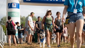 Illustration : "Des milliers de chiens et de maîtres réunis pour un week-end de bonheur à Canidays avec Hill's 2025 (vidéo)"