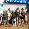 Illustration : Des milliers de chiens et de maîtres réunis pour un week-end de bonheur à Canidays avec Hill's 2025 (vidéo)