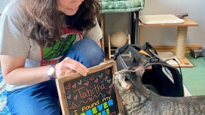 Illustration : "Émotion immense lorsqu’une chatte, au refuge depuis 1 197 jours, trouve enfin sa famille pour la vie (vidéo)"