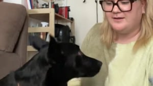 Illustration : "Elle adopte un chien à l'étranger et apprend la langue grâce à lui après avoir découvert qu'il connaissait ses ordres de base (vidéo)"