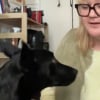 Illustration : Elle adopte un chien à l'étranger et apprend la langue grâce à lui après avoir découvert qu'il connaissait ses ordres de base (vidéo)