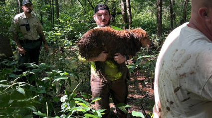 Illustration : "Je l’ai retrouvé, mais je suis perdu", un homme doit survivre une nuit en forêt après avoir retrouvé son chien égaré