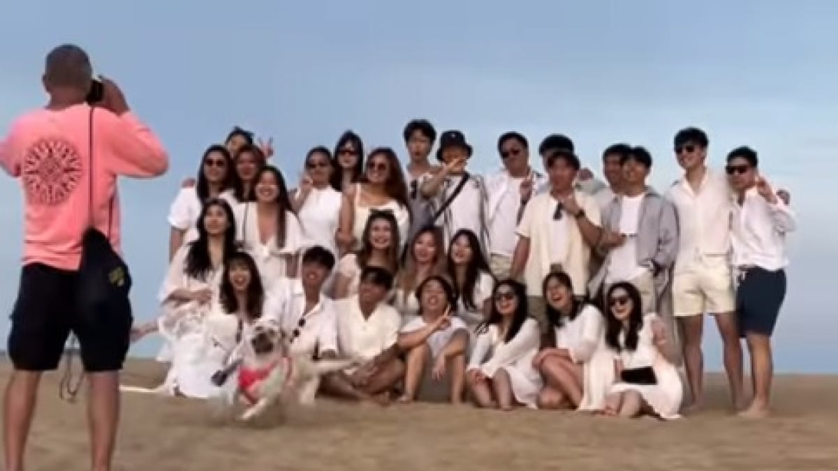Illustration : "Une chienne audacieuse s’incruste sur une photo de groupe et rend le moment iconique (vidéo) "