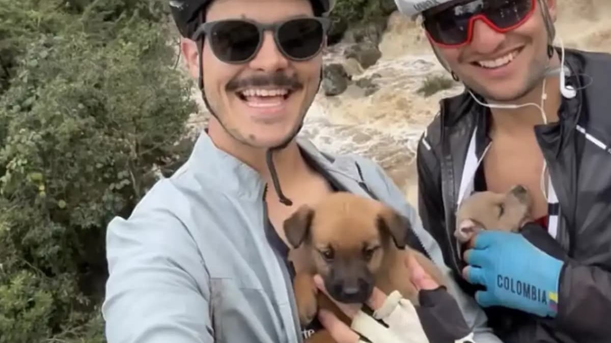Illustration : "2 cyclistes changent d’itinéraire en plein entraînement et tombent sur 2 chiots abandonnés qu’ils décident d’adopter (vidéo)"