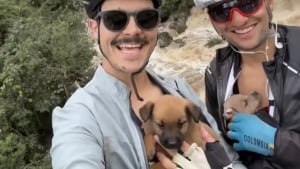 Illustration : "2 cyclistes changent d’itinéraire en plein entraînement et tombent sur 2 chiots abandonnés qu’ils décident d’adopter (vidéo)"