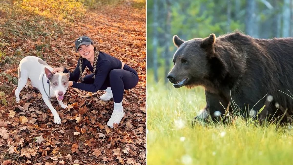 Illustration : "Armée d’une simple gourde d’eau, une femme héroïque se bat contre un ours pour sauver sa chienne"