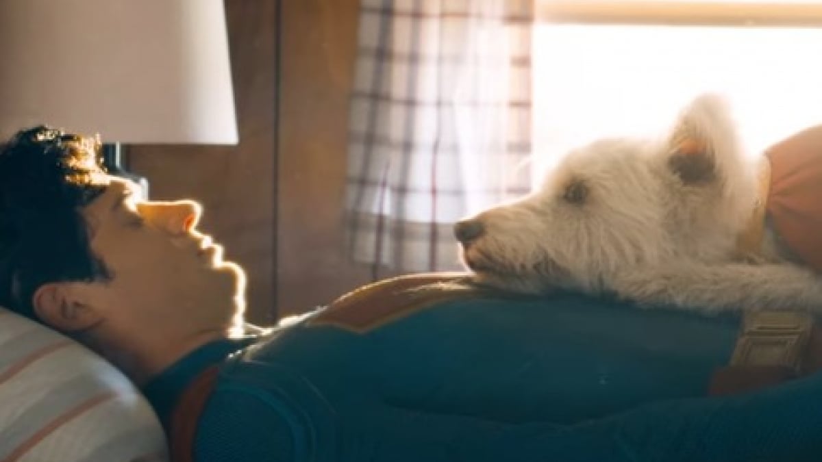 Illustration : "Le personnage de Krypto dans le nouveau Superman sorti au cinéma déclenche une vague d’adoptions, les refuges voient enfin leurs chiens remarqués"