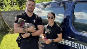 Illustration : "Abandonné à 4 mois, un chiot croise des gendarmes au restaurant et devient la mascotte de leur brigade"