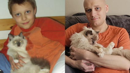 Illustration : Contraint de faire euthanasier son chat, un homme d&eacute;cide de rendre hommage aux 20 magnifiques ann&eacute;es pass&eacute;es &agrave; ses c&ocirc;t&eacute;s