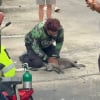Illustration : Un chauffeur de taxi stoppe sa course pour prodiguer un massage cardiaque à un chat dans la rue (vidéo) 