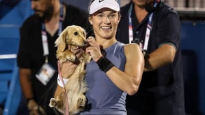 Illustration : "Alors que sa maîtresse venait de remporter une victoire éclatante lors d’un tournoi international de tennis, cette petite chienne s’invite sur le court et lui vole la vedette (vidéo)"