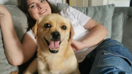 Illustration : Cette chienne qui se jetait sur la nourriture par peur d’en manquer ne connaîtra plus jamais la faim dans sa nouvelle maison