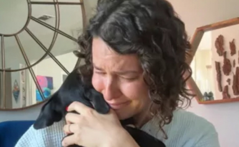 Cette mère d’accueil découvre la raison pour laquelle son protégé à trois pattes est couvert de cicatrices et partage sa peine dans une vidéo