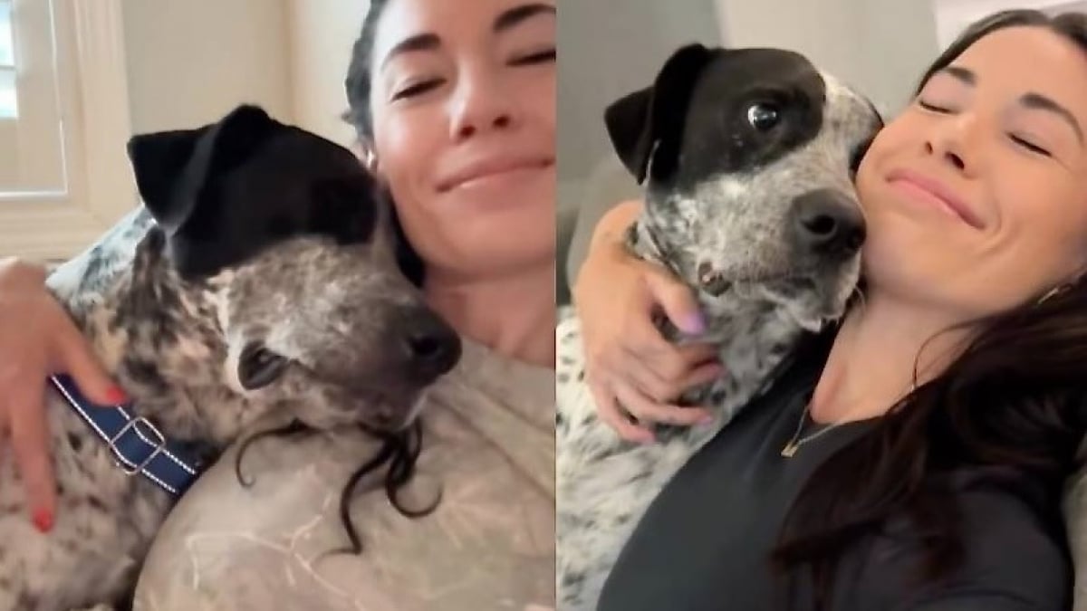 Illustration : "« Merci de m'avoir sauvé et aimé », un chien promis à l’euthanasie réagit avec tendresse à chaque fois qu’on lui dit « Je t’aime » (vidéo)"