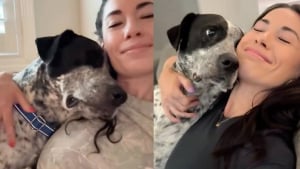 Illustration : "« Merci de m'avoir sauvé et aimé », un chien promis à l’euthanasie réagit avec tendresse à chaque fois qu’on lui dit « Je t’aime » (vidéo)"