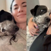 Illustration : « Merci de m'avoir sauvé et aimé », un chien promis à l’euthanasie réagit avec tendresse à chaque fois qu’on lui dit « Je t’aime » (vidéo)