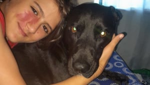 Illustration : "Ils comprennent que leur chien a un don après avoir découvert la maladie de leur enfant"
