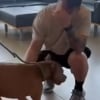 Illustration : Après un an de recherches, un maître retrouve avec émotions son chien perdu grâce à un simple geste de prévention (vidéo)