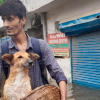 Illustration : Un étudiant affronte les eaux montantes d'une inondation pour sauver un chien blessé et abandonné