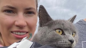 Illustration : "Après un mois de disparition, ce chat et sa maîtresse ont pu être réunis grâce à la dynamique d’un groupe WhatsApp"