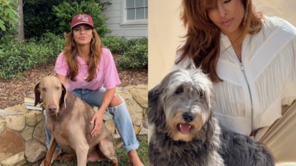 Illustration : Eva Mendes dévoile les réactions opposées de ses 2 chiens adoptés lorsque les caméras s’invitent dans leur quotidien