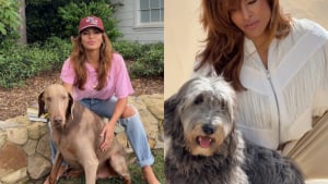 Illustration : "Eva Mendes dévoile les réactions opposées de ses 2 chiens adoptés lorsque les caméras s’invitent dans leur quotidien"