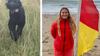 Illustration : Une femme saute à l’eau pour récupérer un chien épuisé à 200 mètres de la côte, mais refusant de faire demi-tour 