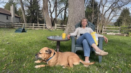 Illustration : "J’ai su à cet instant qu’il était à moi", abandonné à 8 ans, ce chien malheureux n’avait plus goût à rien jusqu’à ce qu’une femme croise son regard et change sa vie