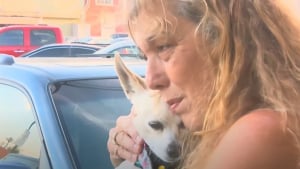 Illustration : "Une femme vole le chien d’un homme décédé et le garde des mois avant d’être arrêtée"