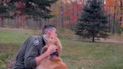 Illustration : De retour apr&egrave;s une mission militaire de 3 mois, cet homme est accueilli en grande pompe par son adorable Golden Retriever (vid&eacute;o)