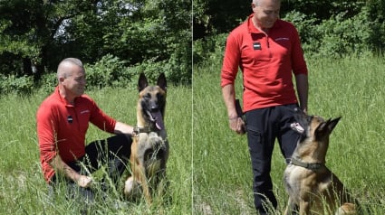 Illustration : Un Malinois promis à l’euthanasie devient apprenti chien pompier grâce à un sauveteur qui a cru en lui