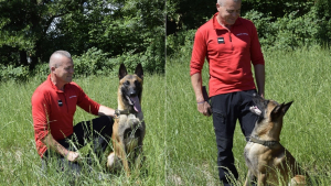 Illustration : "Un Malinois promis à l’euthanasie devient apprenti chien pompier grâce à un sauveteur qui a cru en lui"