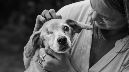 Illustration : 15 photos très émouvantes qui capturent les derniers instants entre des animaux et leurs humains