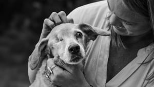 Illustration : "15 photos très émouvantes qui capturent les derniers instants entre des animaux et leurs humains"