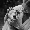 Illustration : 15 photos tr&egrave;s &eacute;mouvantes qui capturent les derniers instants entre des animaux et leurs humains