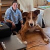 Illustration : Sauvé d’un abandon en pleine forêt par une musheuse, un chien trouve une nouvelle famille à l’office de tourisme