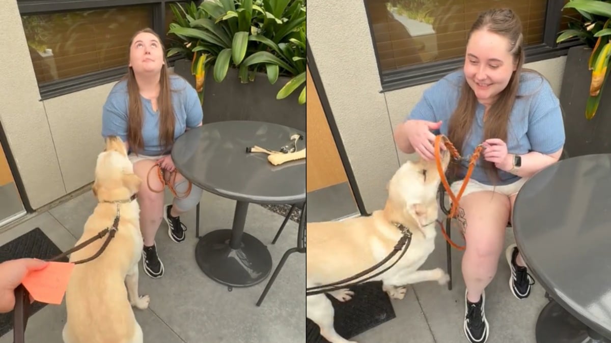 Illustration : "La rencontre joyeuse et émouvante entre une jeune femme aveugle et son nouveau chien guide (vidéo)"