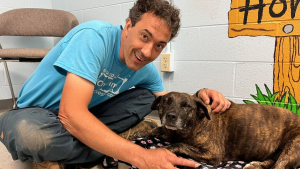 Illustration : "Trouvée égarée à 15 mètres sous la terre, cette adorable chienne est secourue in extremis par 2 spéléologues aguerris (vidéo)"