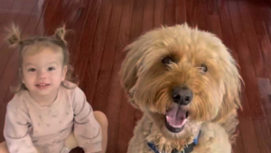 Illustration : "Une fillette noue une relation unique avec le chien de sa famille et imite ses comportements de manière adorable (vidéo)"
