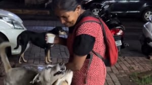 Illustration : "Alors que la situation des chiens est incertaine en Inde, une femme continue de leur donner de son temps"