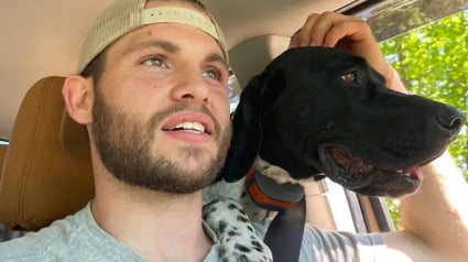 Illustration : « Je lui dois beaucoup plus de friandises », coincé dans les montagnes avec plusieurs os brisés, un homme rampe pendant des heures et survit grâce à l’aide de son chien (vidéo)
