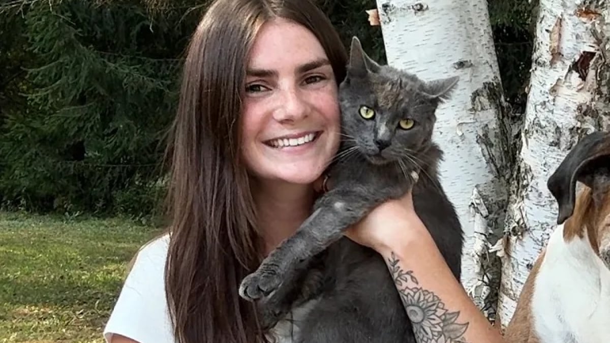 Illustration : "Renversé par une voiture et grièvement blessé, ce chat errant devait être euthanasié jusqu’à ce qu’un appel redonne espoir à sa sauveuse (vidéo)"