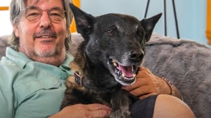 Illustration : En s’interposant instinctivement entre ses maîtres et un taureau incontrôlable, ce chien leur sauve la vie