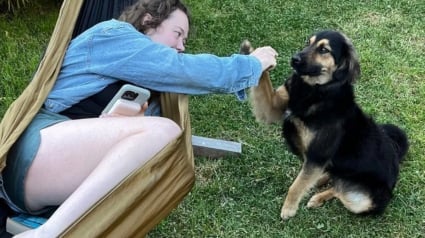 Illustration : Un chien noue une amitié unique avec une voyageuse, qui lui offre une nouvelle vie dans son pays