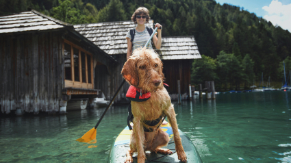 Illustration : 5 activités à faire avec votre chien pour profiter de l’été indien