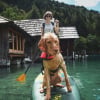 Illustration : 5 activités à faire avec votre chien pour profiter de l’été indien