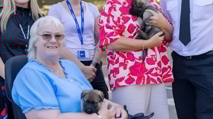 Illustration : Appelés à intégrer les forces de l'ordre, ces adorables chiots sont nommés en l’honneur de pionnières de la police