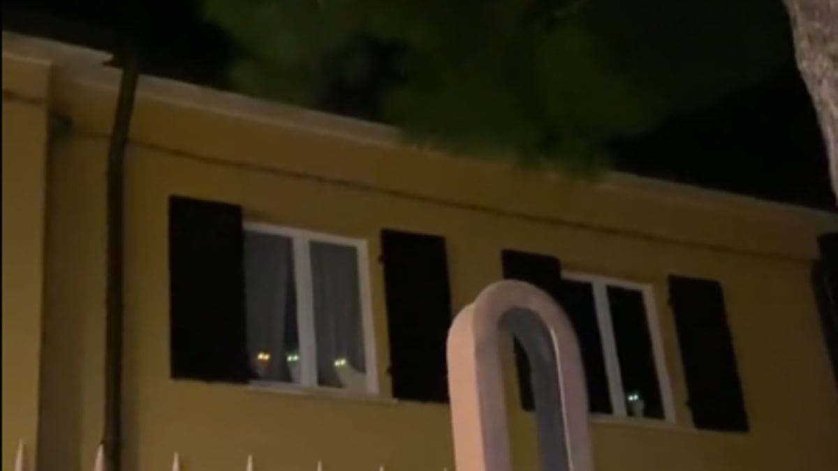 Illustration : "Dans le noir, ses 7 chats guettent son retour et offrent un accueil étrange mais rempli d’amour (vidéo)"