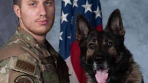 Illustration : "Après 8 années de missions périlleuses, ce chien militaire retrouve son maître pour une retraite pleine d’amour"