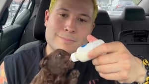 Illustration : « J’ai pris cette rencontre comme un signe du destin », ce musicien a perdu son chien il y a 6 mois et découvre un chiot de 3 semaines abandonné sous un banc (vidéos)